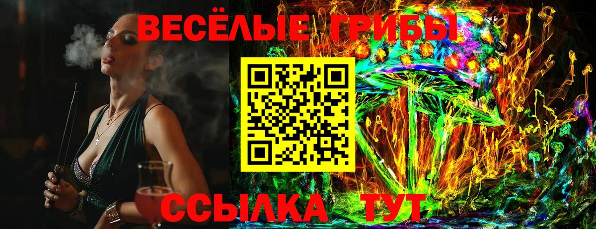 Псилоцибиновые грибы Psilocybe  Галлюциногенные грибы GOLDEN TEACHER  Вход с VPN  Валуйки 