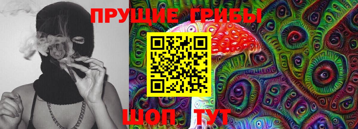 Галлюциногенные грибы Psilocybine cubensis Валуйки
